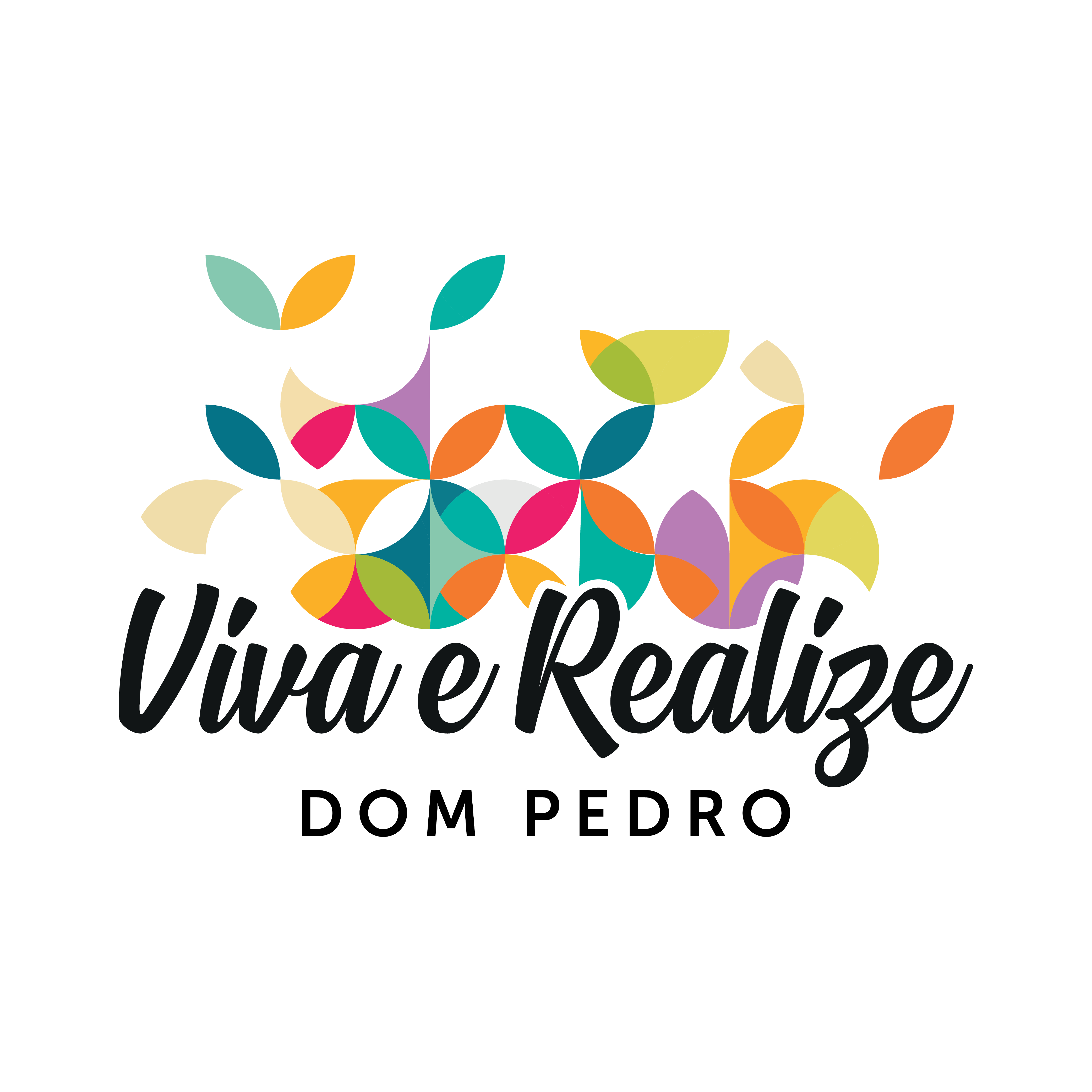 Logo Viva e Realize Dom Pedro